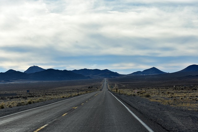 Free Road Highway photo and picture