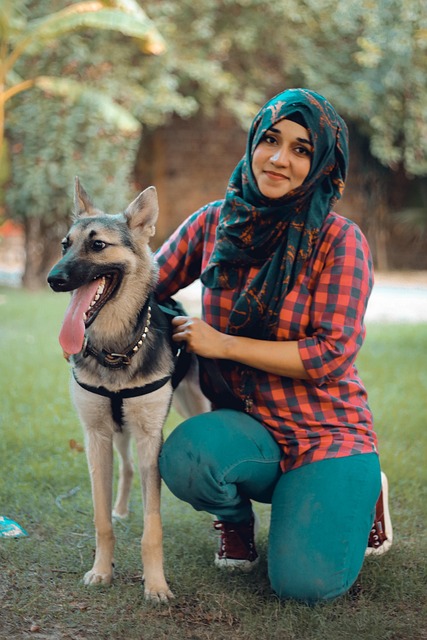 Pelagem, Cachorro, Bicho De Estimação