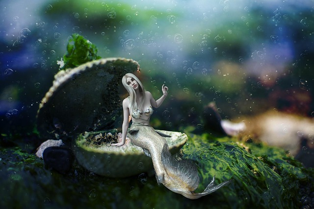Free mermaid sea nature illustration