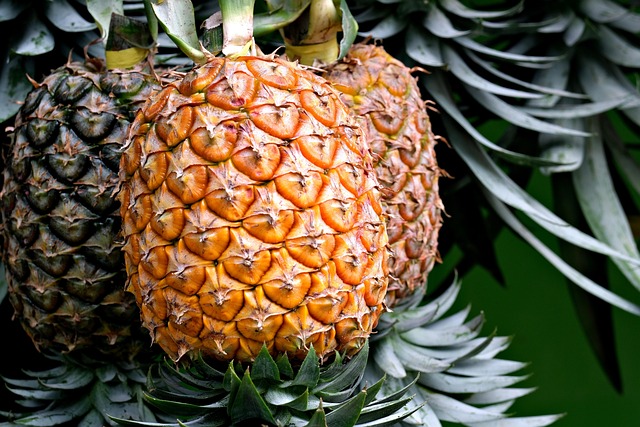 Piña Fruta Comida Fresca - Foto gratis en Pixabay - Pixabay