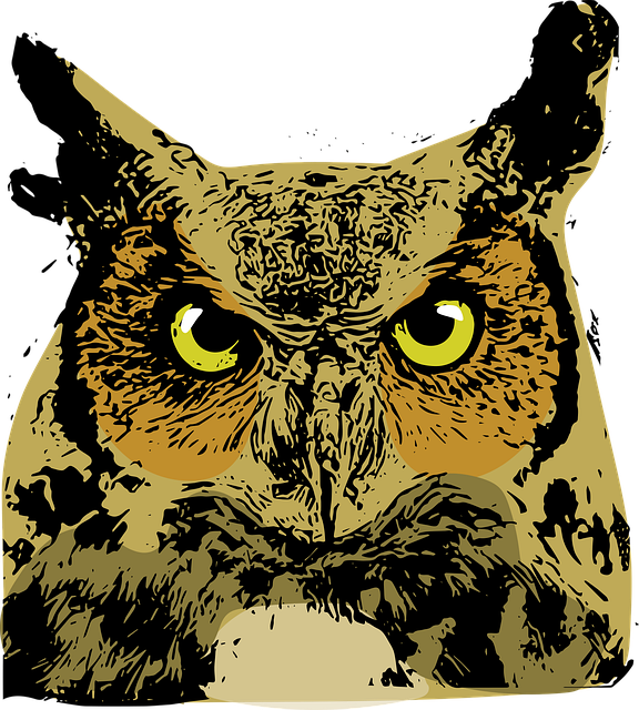Free Owl Nature vector and picture