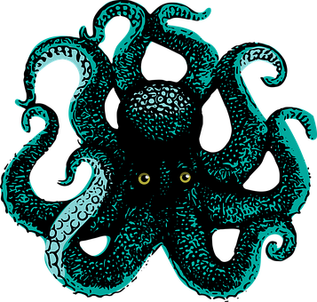 Free Octopus Squid vector and picture