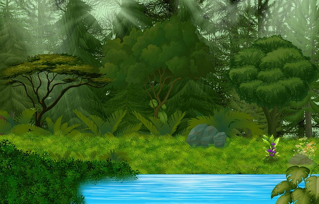 Free forest trees nature illustration