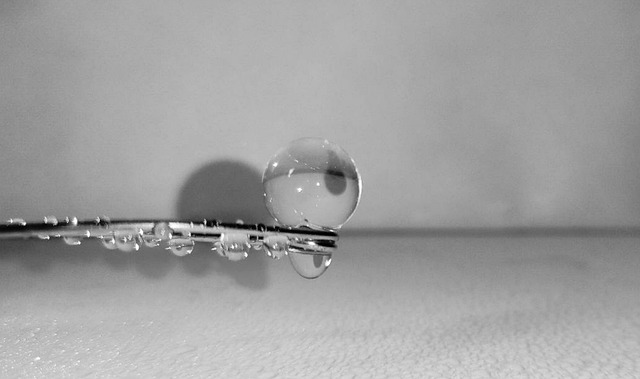 Water, Afzetten, Natuur, Telefoon