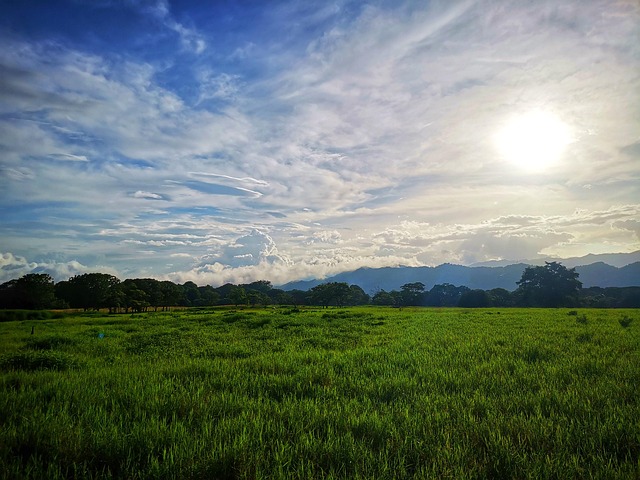 Spacious Field Field Nature Sky - Free photo on Pixabay - Pixabay