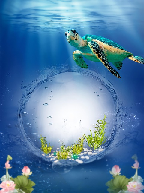 Free underwater deep sea sea turtle illustration