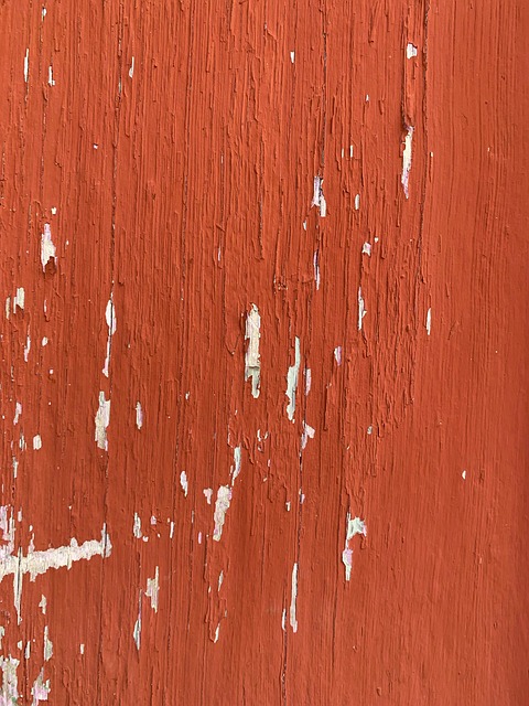Free Wood Texture photo and picture