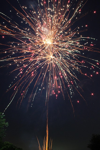 Free Independence Fireworks photo and picture