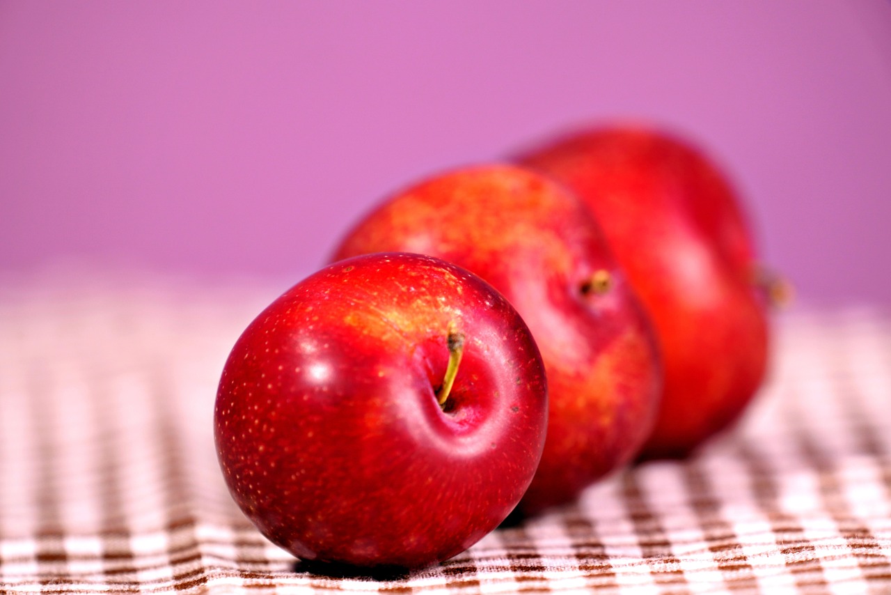https://cdn.pixabay.com/photo/2022/07/02/17/28/cherry-plum-7297681_1280.jpg