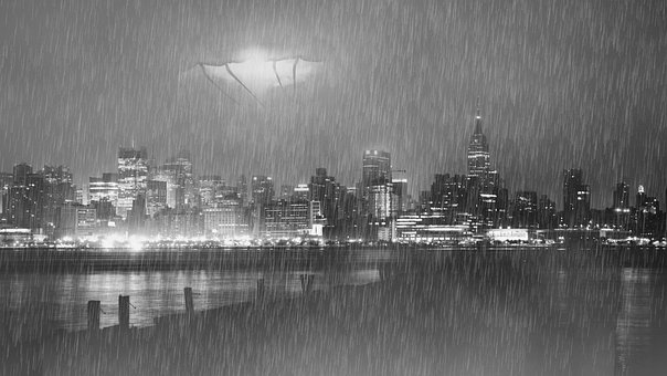 Free City Night photo and picture