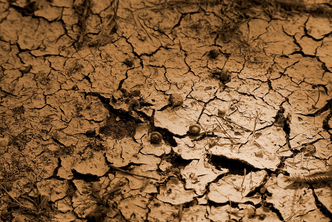 Mais de 20 fotos gratuitas de Chão Rachado e Seca - Pixabay