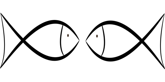 Free fish encounter together illustration