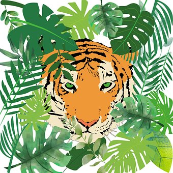 Tiger, Voľne Žijúce Zvieratá, Zviera