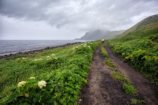 超过7 张关于 礼文岛 和 北海道 的免费图片 Pixabay