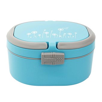 Free Lunch Box Food photo and picture