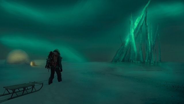 Free winter nature northern lights illustration