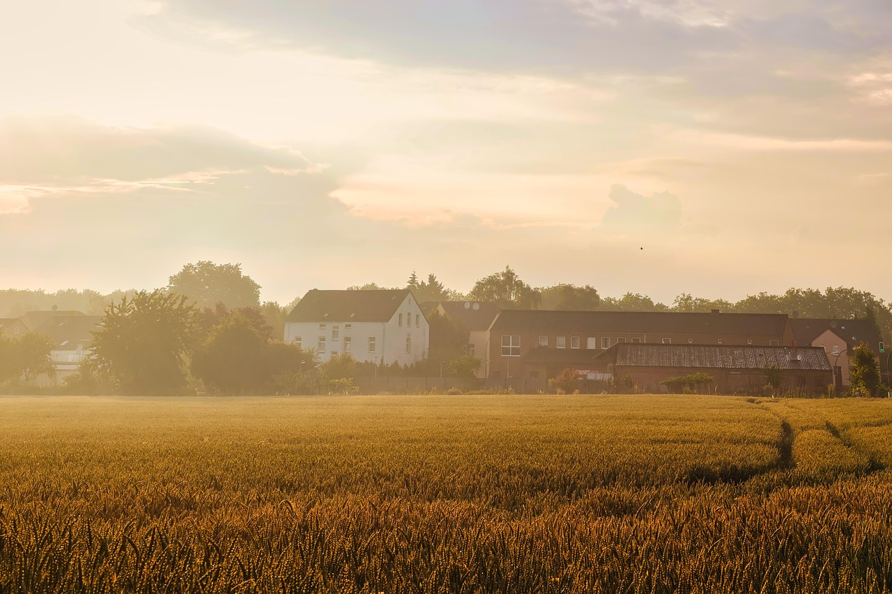 Landscape - free online jigsaw puzzle photo