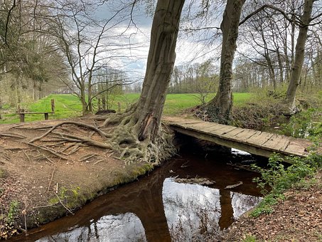 Free Bridge Brook photo and picture