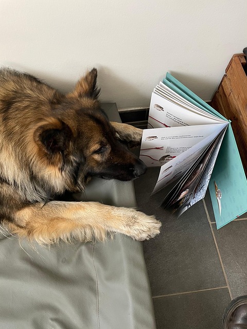 Free Dog Book photo and picture