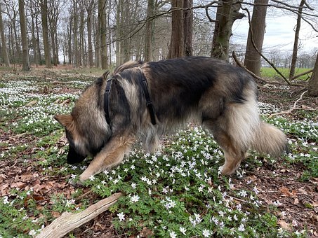 Free To Search Search photo and picture