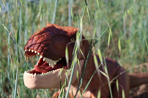 Dinosaurier, Tier, Trex, Tyrannosaurus