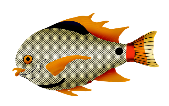 Free Fish Sea Life illustration and picture