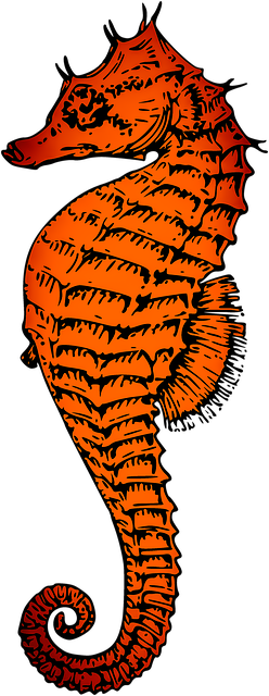 Free Seahorse Ocean illustration and picture