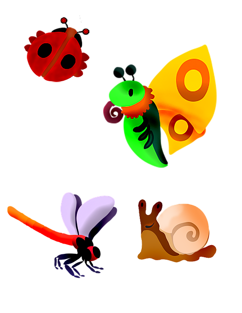 Free Bugs Ladybug illustration and picture