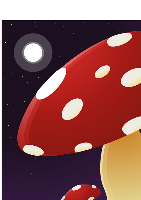 Free mushrooms stars moon vector
