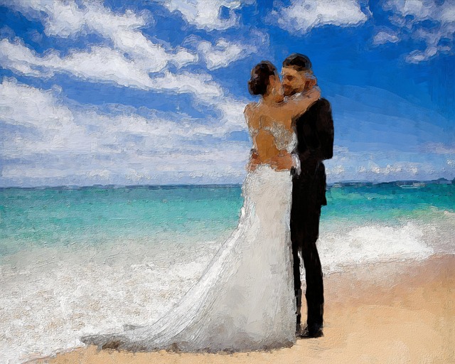Free ocean bride groom illustration