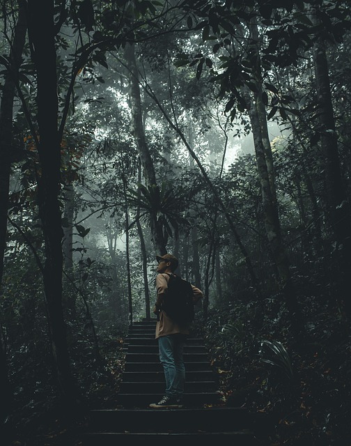 Free Man Stairs photo and picture