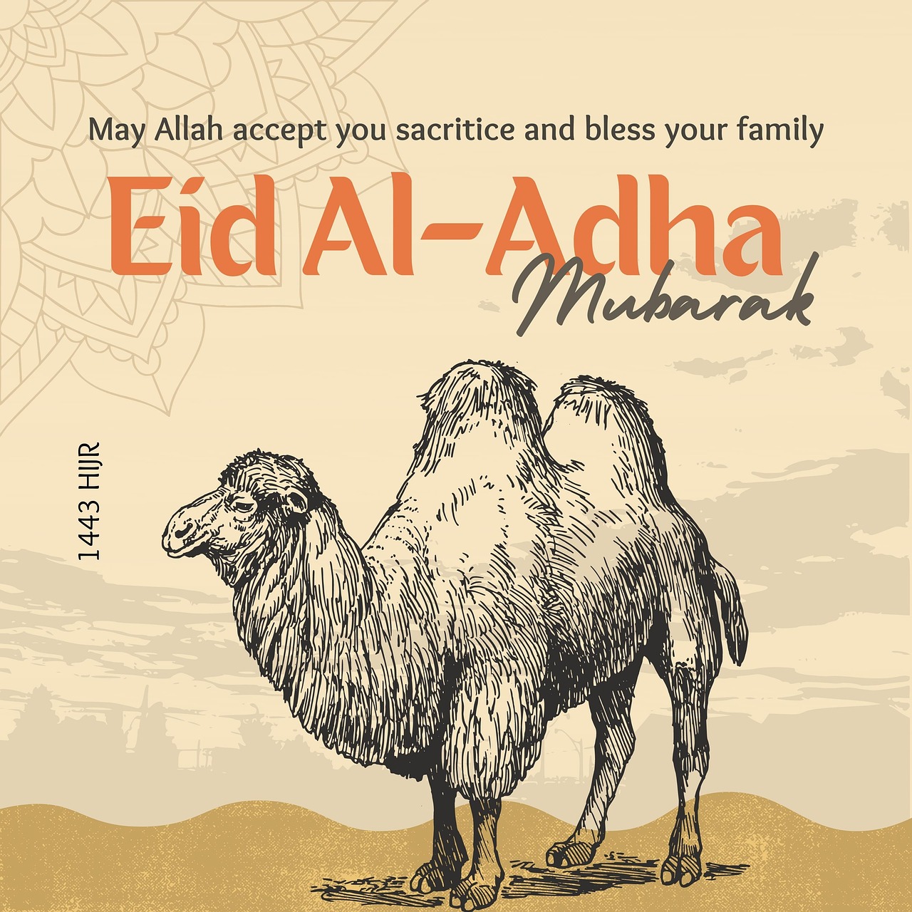 Eid Ul Adha 2022 Free Photo On Pixabay Pixabay