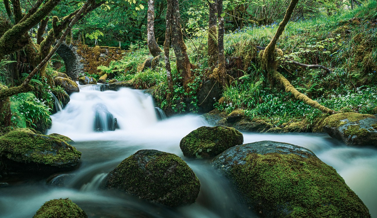 River - free online jigsaw puzzle photo