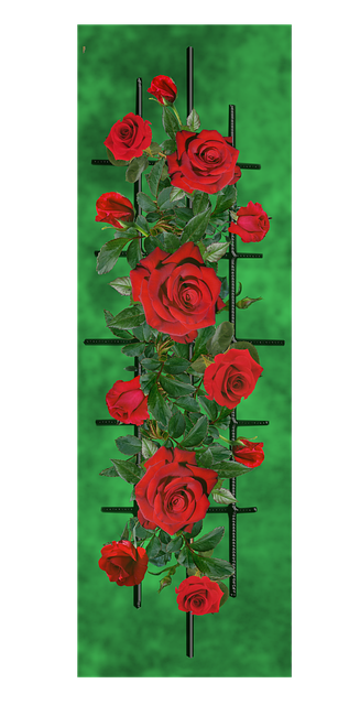 Free roses flowers bookmark illustration