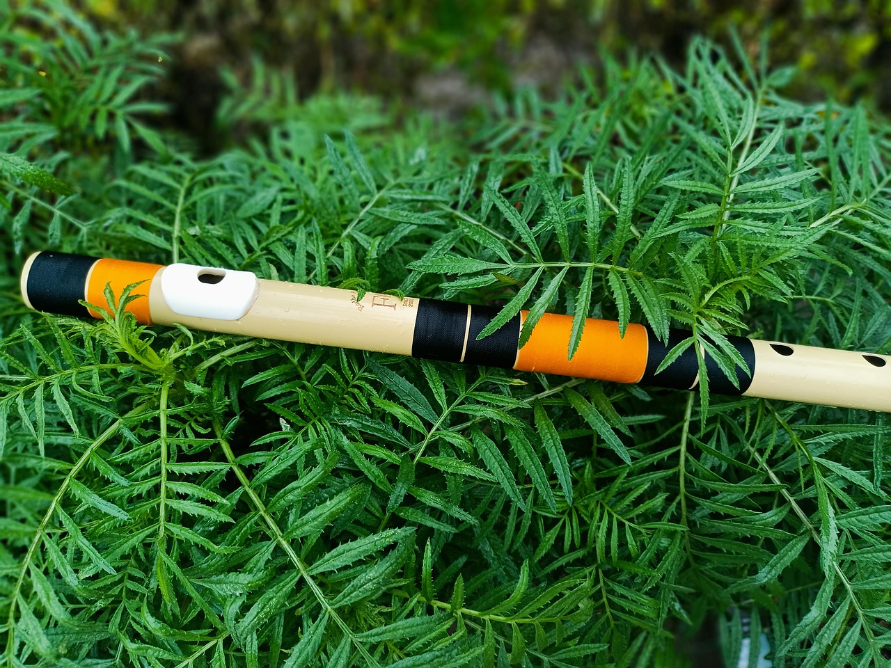 Flute Music Instrument Free photo on Pixabay Pixabay