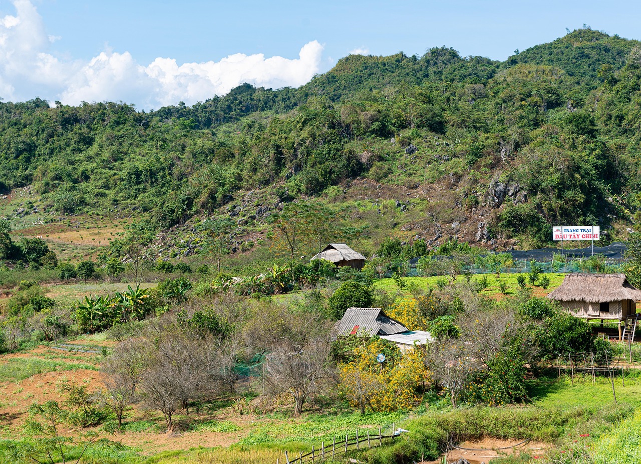 自然 谷 山 Pixabay上的免费照片 Pixabay