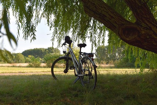Free Bicycle Bike Tour photo and picture