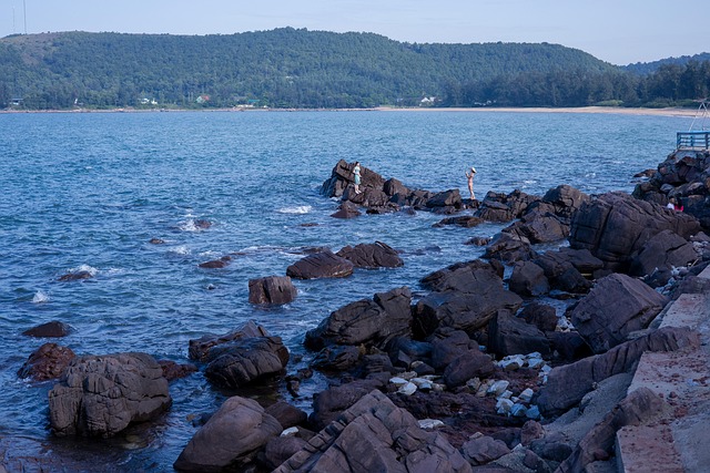 Free Sea Coast photo and picture