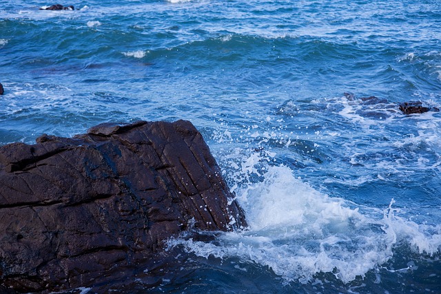 Free Sea Wave photo and picture