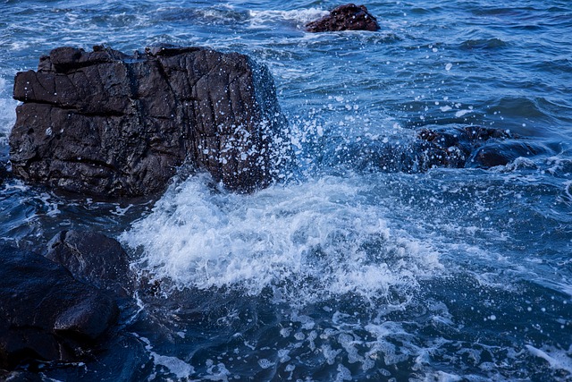Free Sea Wave photo and picture
