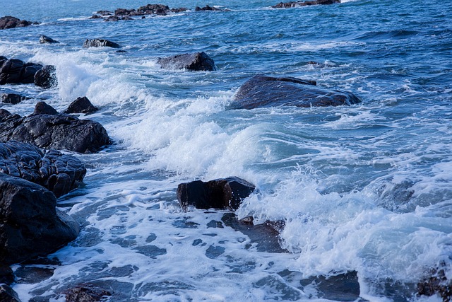Free Sea Wave photo and picture