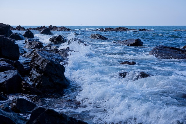 Free Sea Wave photo and picture