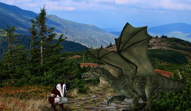 Free woman dragon fantasy illustration