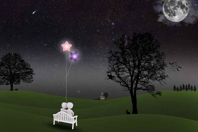 Free night few park illustration