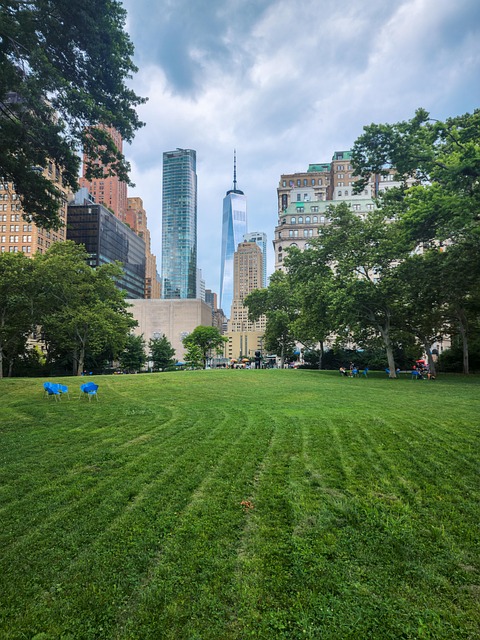 Free World Trade Center Grass photo and picture