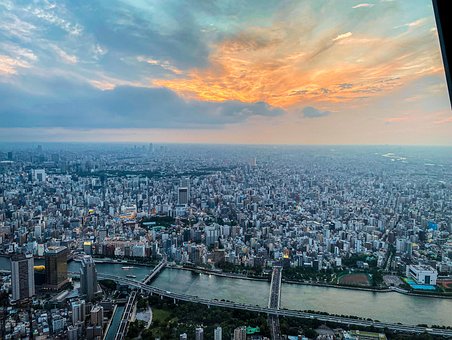 Tokio Cielo Arbol, Tokio, Japón