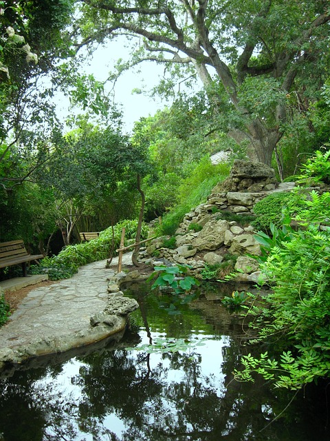 Free Pond Reflection photo and picture