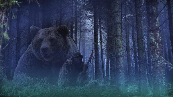 Free Bear Hunter illustration and picture