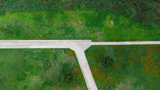 Free Road Direction photo and picture