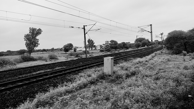 Reizen, Trein, Natuur, Telefoon, Camera